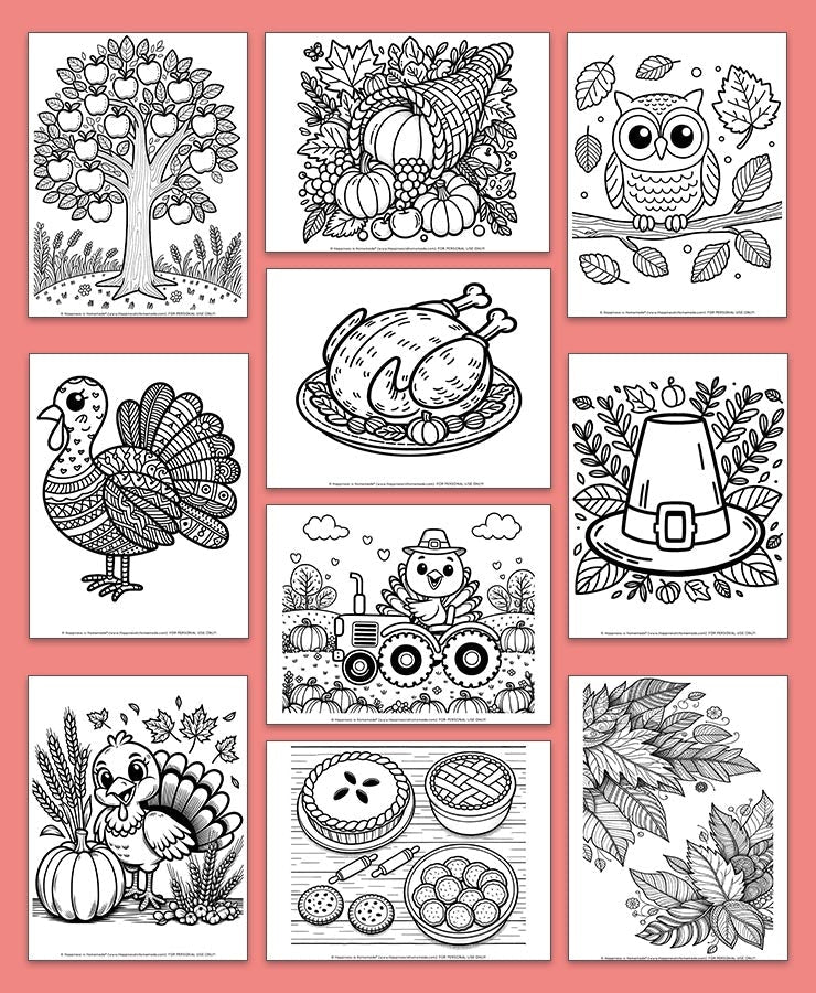 Thanksgiving Coloring Pages Collection