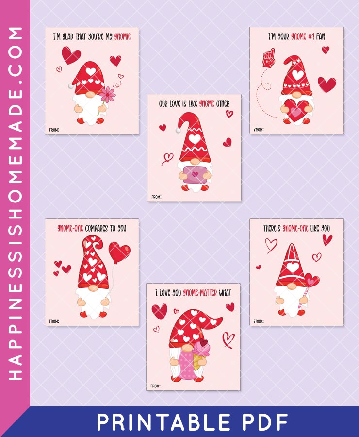 Gnome Valentine Cards