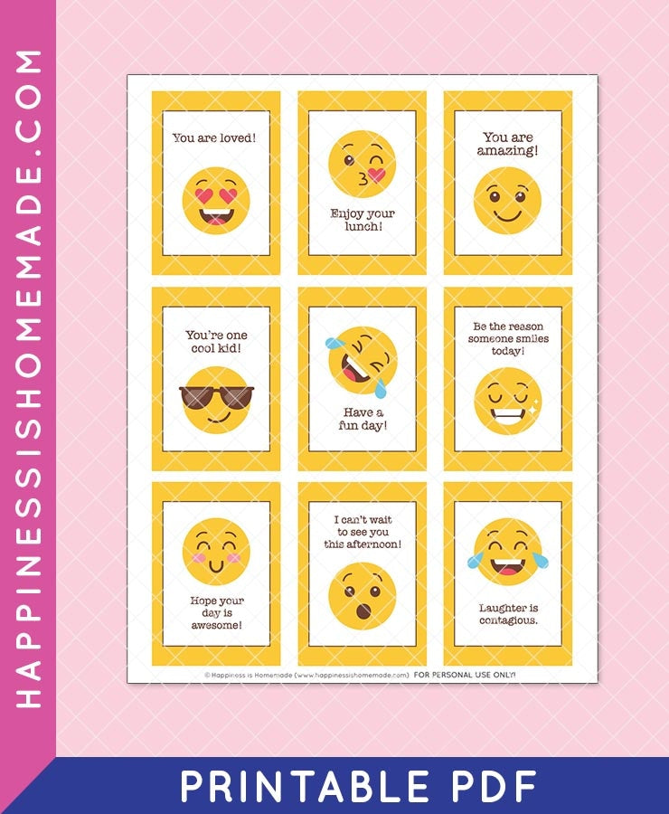 Emoji Lunchbox Notes