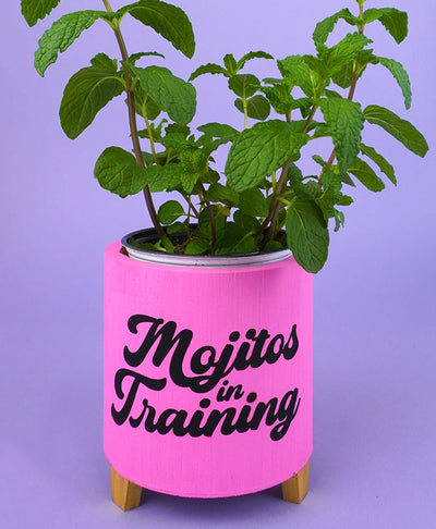Mojitos in Training SVG