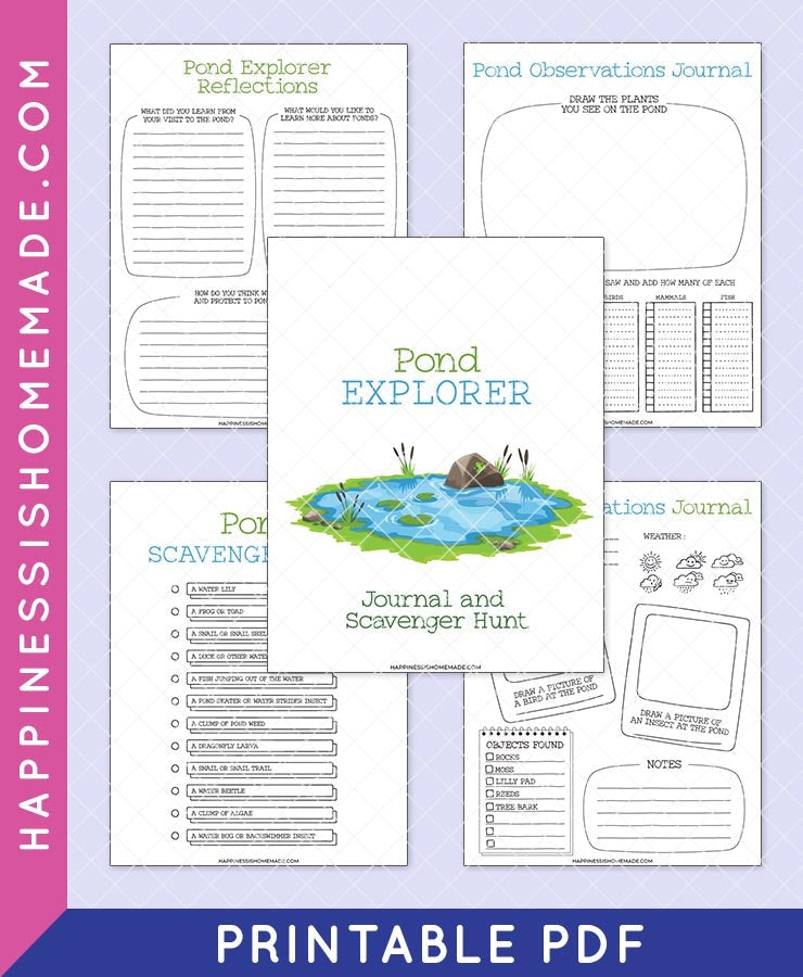 Pond Explorer Journal – Happiness is Homemade